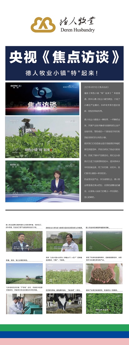 焦点访谈.jpg